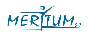 logo MERITUM